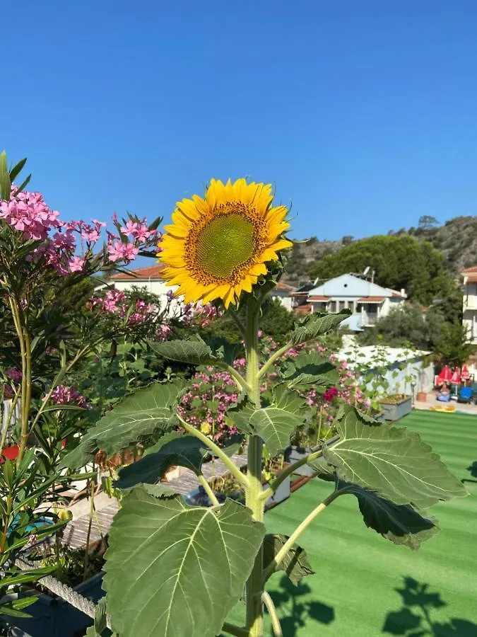 On Oda Oludeniz Hotel