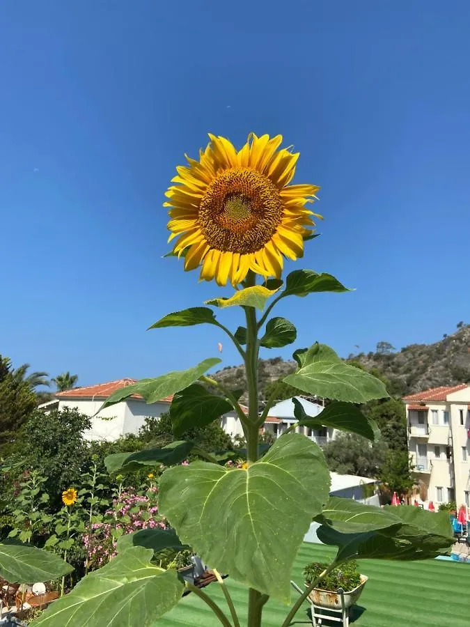 On Oda Oludeniz Hotel