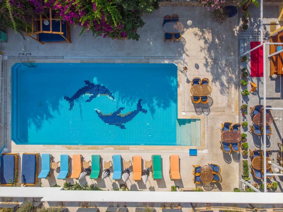 On Oda Oludeniz Hotel 2*,  Turkey